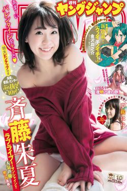 双面神探电视剧